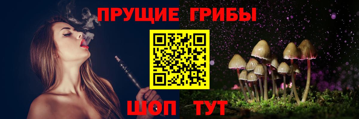 Галлюциногенные грибы Psilocybine cubensis  Вход с VPN  Луховицы 