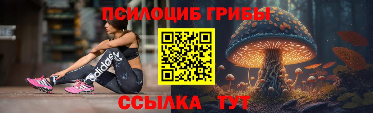 Псилоцибиновые грибы Magic Shrooms Луховицы